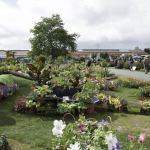 Organiser mon événement